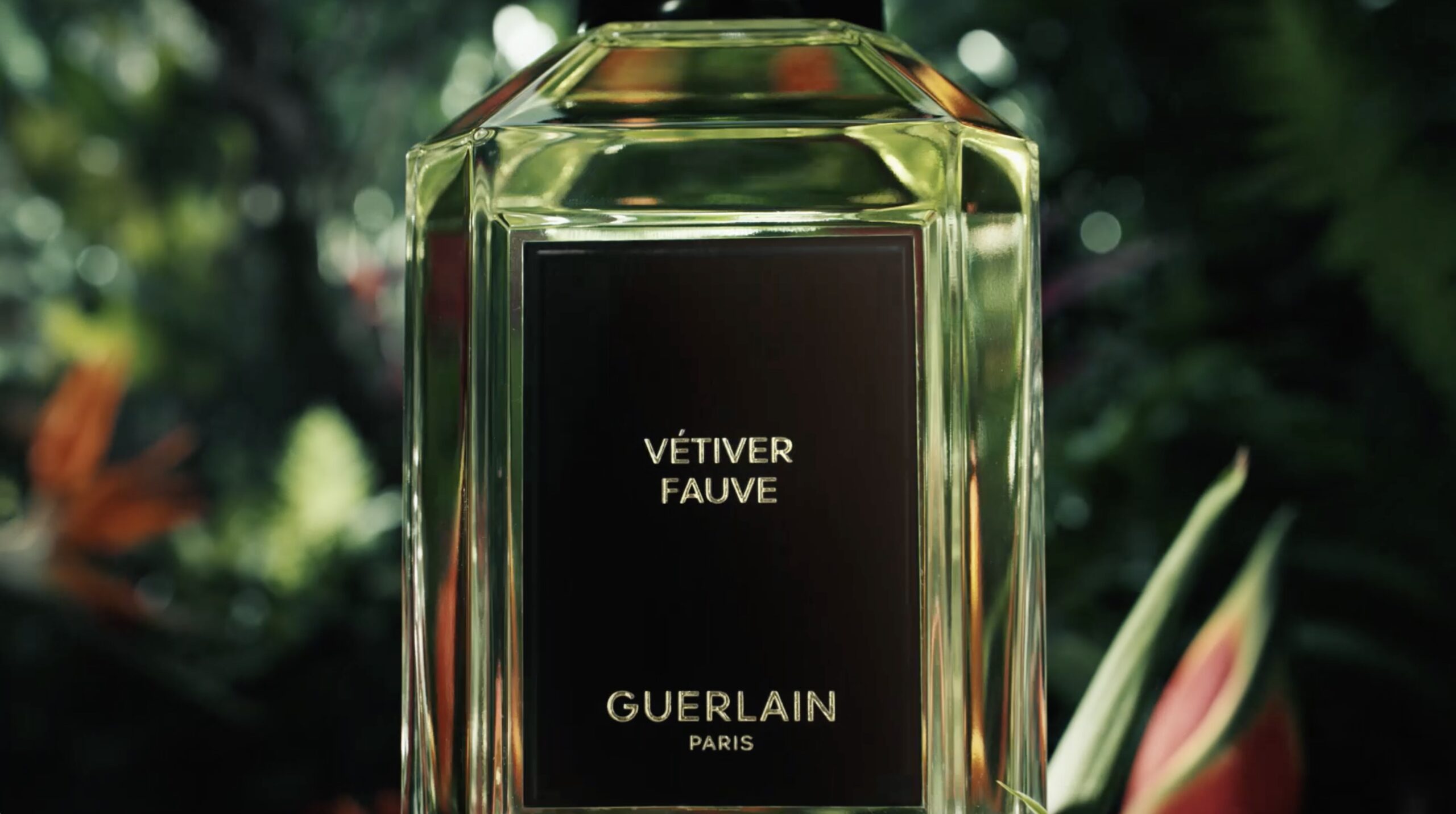 GUERLAIN PARIS: VÉTIVER FAUVE - THE NEW EAU DE PARFUM | PREFERIST